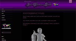 Desktop Screenshot of jtstake.se